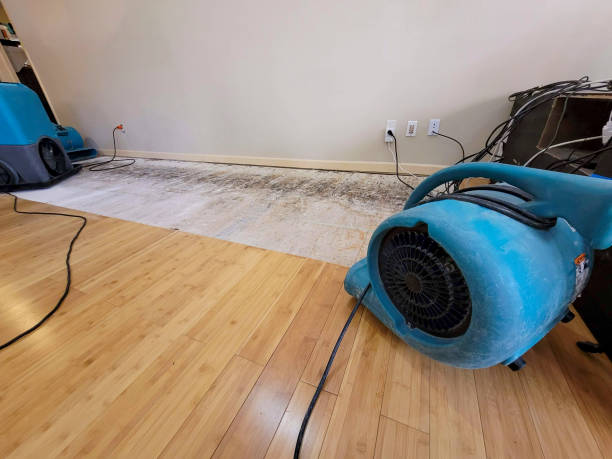 Professional Structural Drying technician working in Warren, IL